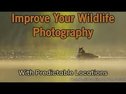 Improve Photography by Predicting the Location of Your Subject