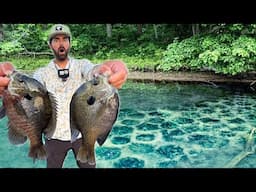 Found TONS of SPAWNING BLUEGILL, But We Have a Problem......