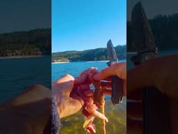 I Found a Cigarette in a Fish’s Stomach 😞