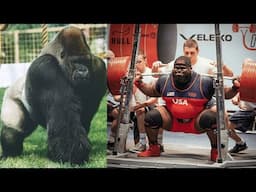 100 Men vs 1 Gorilla (Strength Expert Take)