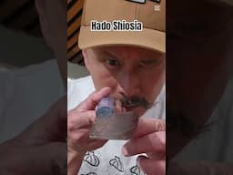 Hado Shiosai (sound of waves) SG2 135mm  Ko-Bunka. Cute little chopper.