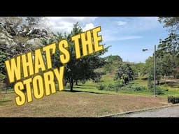 Palmiste Park - A Southern Gem