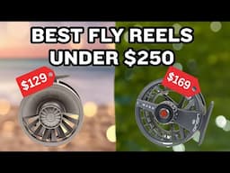 Best Cheap Fly Reels Under $250 (Tested & Reviewed)