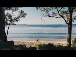 Trajectory: Sascha Kim | Giant Bicycles