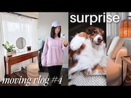 surprise! adoption story, makeup organization + vanity setup, new furniture 🏡 MOVING VLOG ep 4