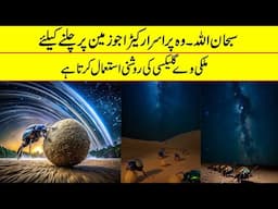 Surprising Facts About NASA And The Milky Way Galaxy | If Tv