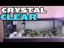 FLUVAL FX UVC IN-LINE CLARIFIER update - Fluval FX6 Canister Filter on saltwater tank