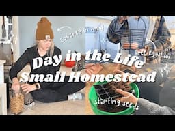 Spring Days in my Life | Seed Starting, Collecting Eggs, Homemaking