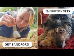DRY SANDFORD Fossil Hunting & EMERGENCY VET TRIP! #vlog