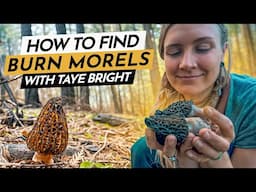 Hunting Burn Morels in a Post-Fire Forest