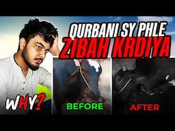 Janwar Eid Se Phele Zibah Krdiya 😢💔