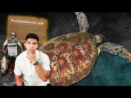 This saved the Turtles in Apo Island