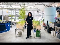 NY Sun Works | Greater Good
