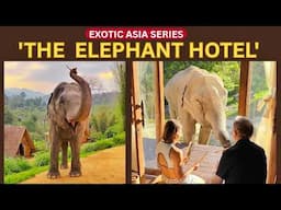 One of the Most UNIQUE Experiences in the World!