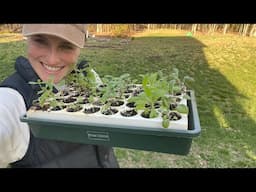 Planting A Cottage Style Rose Bed | Garden VLOG