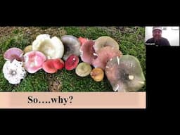 Sorting Out Russula by Tavis Lynch