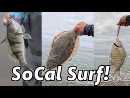 Multi Species Surf Session! [SoCal Surf Fishing]