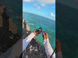 Squid Catching Secrets: The Artful Sacrifice that Leads to Dinner Mastery!
