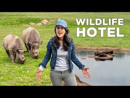 Staying at a Wildlife Hotel in Yorkshire, Full Tour & Honest Review