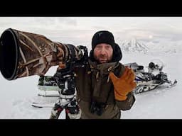 Deep Snow, Frozen Tripod and Happiness - Wildlife Photography on Svalbard