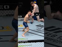 A joelhada voadora é a especialidade da casa para Cory Sandhagen! 💥 #UFCDesMoines