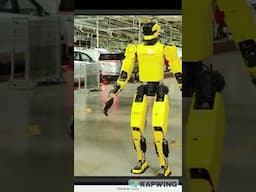 KEPLER FORERUNNER K2 BUMBLEBEE AI ROBOT RELEASE | AI NEWS