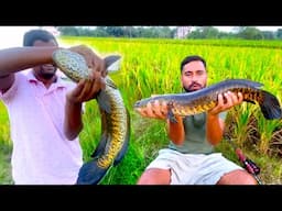 পুকুর থেকে ধরা পাকা শোল দিয়ে মায়ের হাতে আমশোল রান্না খাওয়া | Fishing and cooking | Aam Shol recipe