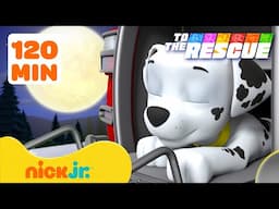 PAW Patrol To The Rescue: Bedtime Healthy Habits for 90 Minutes 😴 | Nick Jr