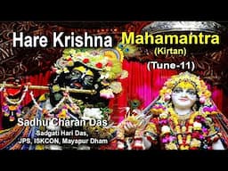 Hare Krishna মহামন্ত্র মধুর কীর্তন কন্ঠ সাধু চরন দাস /Sadgati Hari Das Jps Iskcon Mayapur Dham