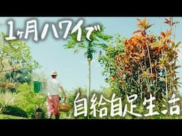 【総集編】30代田舎暮らし夫婦、ハワイ島での1ヶ月自給自足をしました。 #269