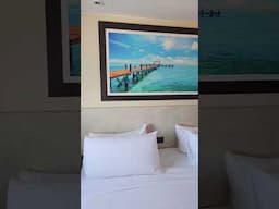 Margaritaville Sea paradise/ocean view tour/cabin 5038 midship