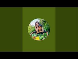 Planted in the Garden is live! Seed starting + Q&A