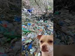 PLASTIC POLLUTION FROM JUST ONE BEACH! 😳
