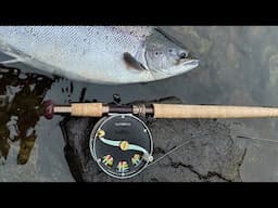 SALAR Duke Reels by Frödinflies
