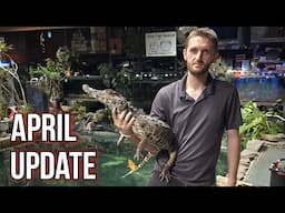 Progress update on 3500 Gallon Tank, Caiman Goes Home, and More!