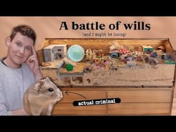 My hamster is testing my patience, and I'm ready to surrender 🏳️