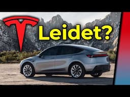 Schaden an der Marke Tesla? Elon Musk & Tesla reden Klartext!