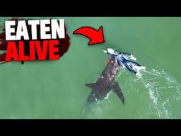 This Man Gets EATEN ALIVE By Shark While Filmed on Drone Footage!