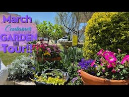 March '25 Container Garden Tour! Container Designs Using Winter Sown Seedlings! #containergardening
