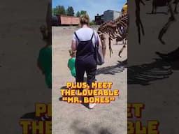 The Dinosaur Express Train returns in 2025!