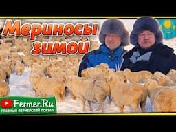 Ерагый Гишларкаев и Бауржан Оспанов. Будущее сельского хозяйства глазами тех, кто делает его сегодня