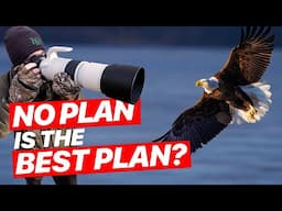 Expect the Unexpected | Photographing Bald Eagles with RF200-800