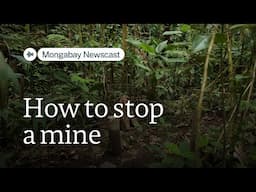 Protecting an Ecuadorian cloud forest from mining