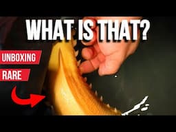 "I Spent $100,000 on the RAREST Fish from Asia!! 🤑🐠 (INSANE UNBOXING!)"