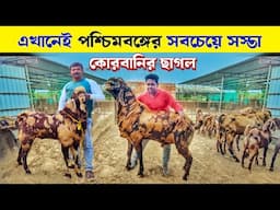 পশ্চিমবঙ্গে কোরবানির ছাগল কিনুন সবচেয়ে সস্তায় | kurbanir Chagol | Goat Farm | Quarbani Goat