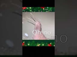 A Very Merry Kiwi/Kākāpō Christmas!