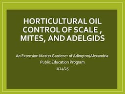 Horticultural Oil Control of Scale, Mites, and Adelgids