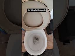 How Toilets Flush in Australia #shorts #funny #australia