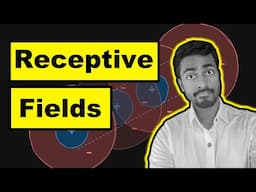 Receptive Fields - Explained