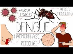 Dengue Fever Explained (Including Dengue Haemorrhagic Fever & Shock Syndrome)